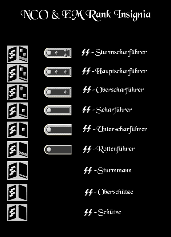 SS-NCO/EM Rank Insignia